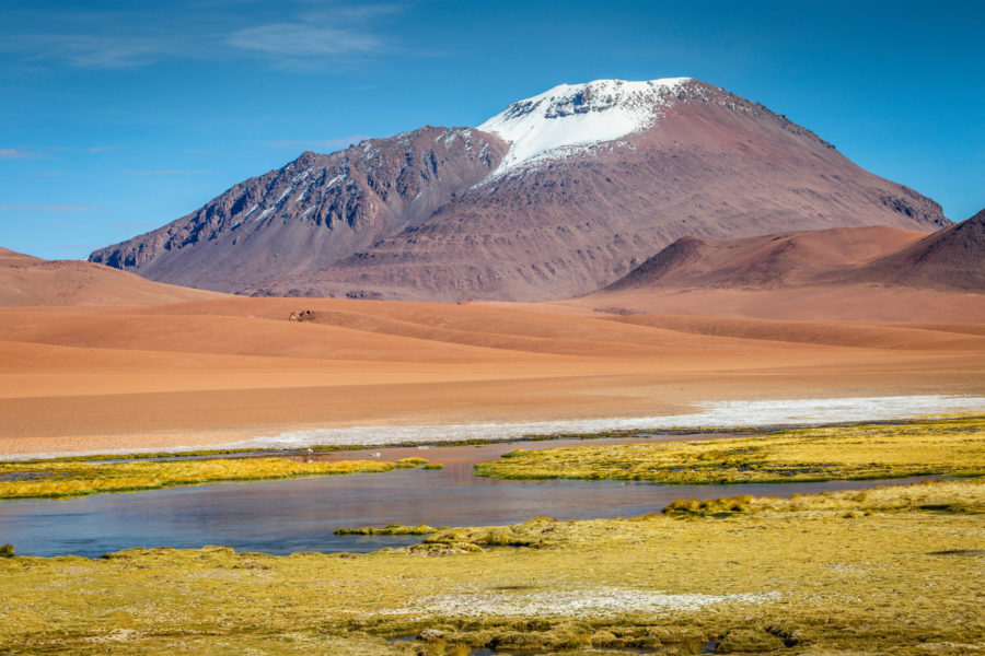 Codelco, SQM מיזם ליתיום חותם במדבר אטקמה בצ'ילה