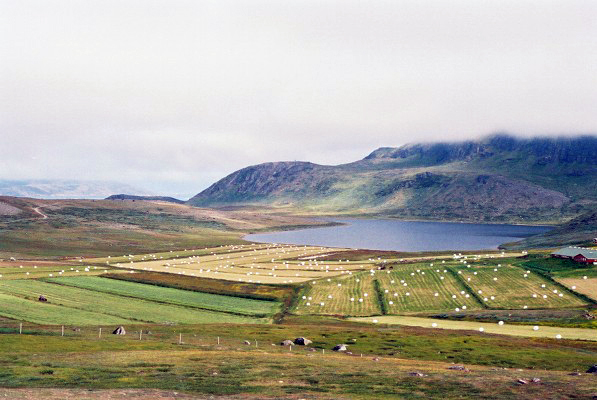 האיחוד האירופי יציע לארה