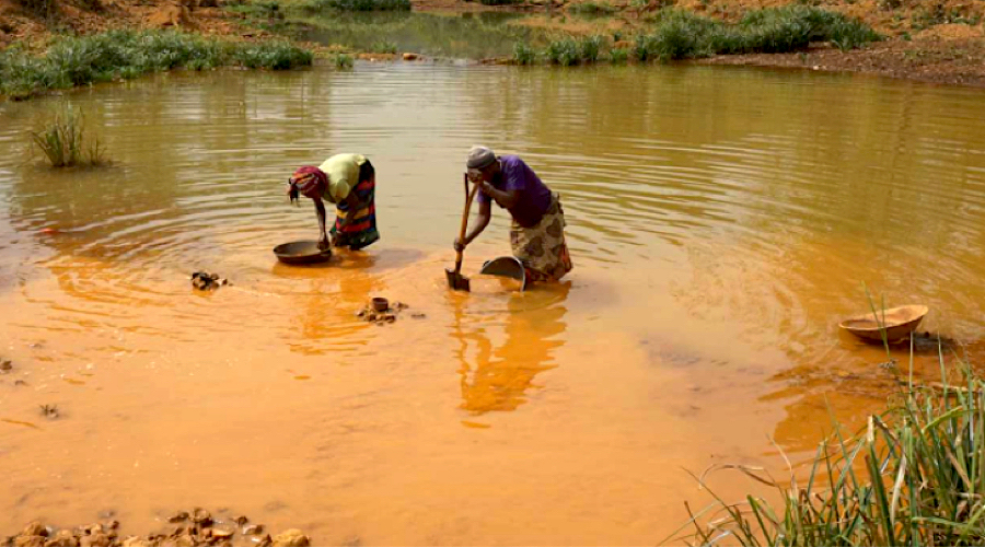 ממצאים מדווחים כי בנקים לא מצליחים לסנן סיכוני כרייה בלתי חוקיים
