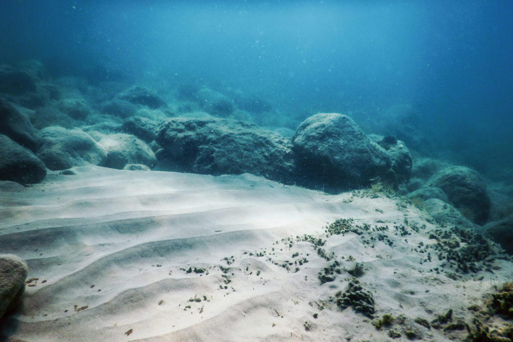 Deep-sea mining debate reaches critical global moment